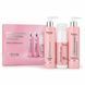 Набор для кожи головы и волос Top Beauty с AHA и BHA кислотами интенсивная очистка и уход TB00025 фото 1