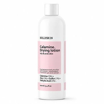 Подсушивающий лосьон для жирной и проблемной кожи HOLLYSKIN Calamine Drying Lotion H0248 фото